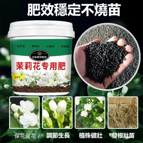茉莉花 肥料 專用肥 茉莉花肥 四季 通用 開花 顆粒肥 多肉 植物 通用型 肥料