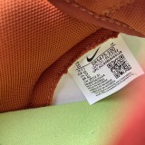 N*ike SB Dunk Low DR5475-100