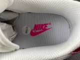 N*ike SB Dunk Low Retro SP CT5053-061