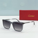 C*artier Glasses Top