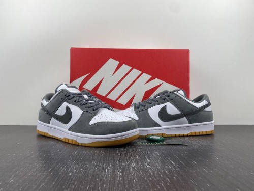 N*ike Dunk Low FV0389-100