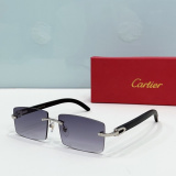 C*artier Glasses Top