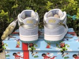 Sean Cliver x Dunk SB Low DC9936-100