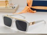 L*ouis V*uitton Glasses Top