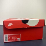 N*ike SB Dunk DD1869-107