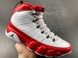 Air Jordan 9 302370-160