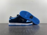 N*ike SB Skateboard Dunk Low Pro Black 304292-048