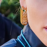 Earrings002