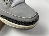Air Jordan 3 136064-006
