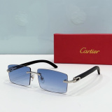 C*artier Glasses Top