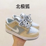 Kids SB Dunk Shoes