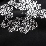 D*enim T*ears *L*evis Top Quality Clothes