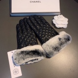 Top Gloves