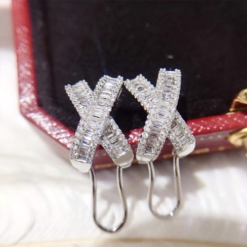 Earrings003