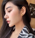 Earrings008