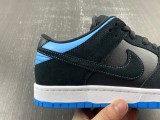 N*ike SB Skateboard Dunk Low Pro Black 304292-048