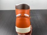 Air Jordan 1 High Starfish DO9369-101