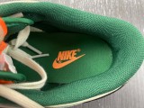 N*ike SB Dunk LOW PRO DD1391-300