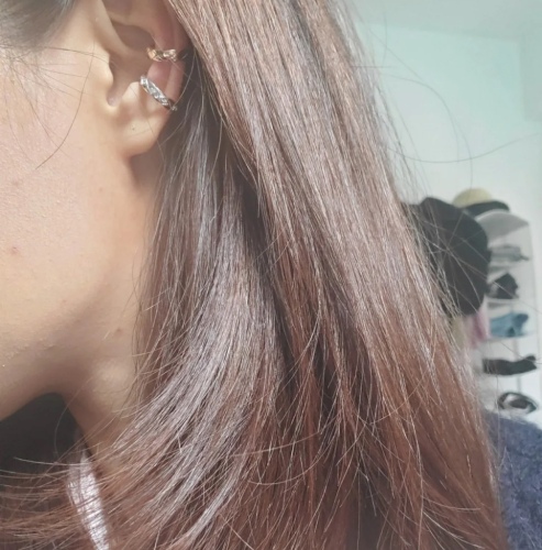 Earrings005