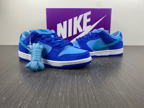 N*ike SB Dunk Low Pro DM0807-400