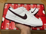 N*ike Dunk Low dv0831-102