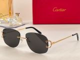 C*artier Glasses Top