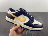 N*ike D*unk Low Retro FV8106-181