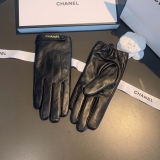 Top Gloves