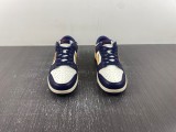 N*ike D*unk Low Retro FV8106-181