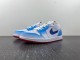 Air Jordan 1 Low FN8895-141