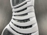Air Jordan 12 STEALTH CT8013-015