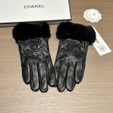 Top Gloves