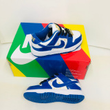 Kids SB Dunk Shoes