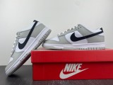 Dunk Low Retro SE DR9654-001