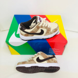 Kids SB Dunk Shoes