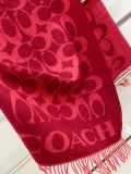 Scarf 195*53CM