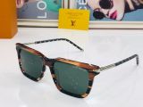 L*ouis V*uitton Glasses Top