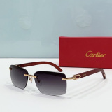 C*artier Glasses Top