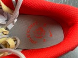 N*ike Dunk Low FJ5429-133