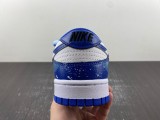 N*ike SB Dunk LOW FD9064-110