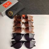 R*ayban Glasses Top