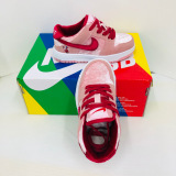 Kids SB Dunk Shoes