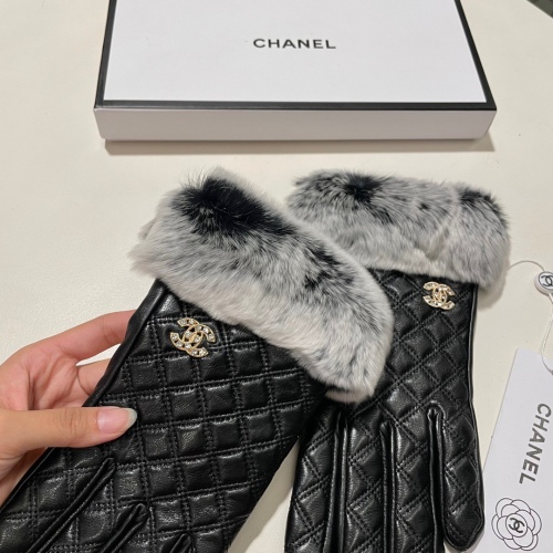 Top Gloves
