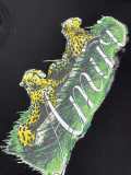 A*MIRI Top Quality Clothes