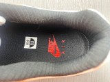 Air Max 1 Escape FJ0698-100