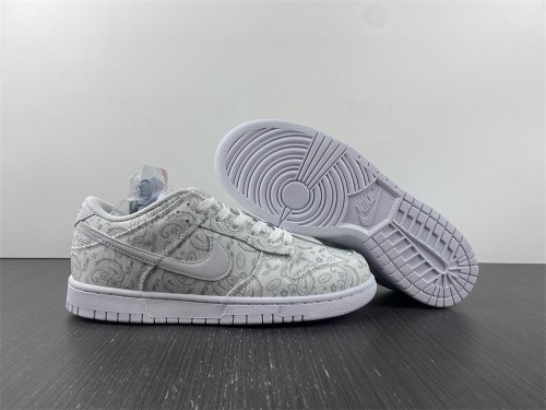 N*ike Dunk Low DJ9955-100