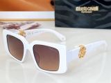 Others Brands Glasses Top Quality