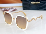 Others Brands Glasses Top Quality