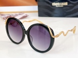 Others Brands Glasses Top Quality