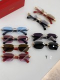 C*artier Glasses Top Quality
